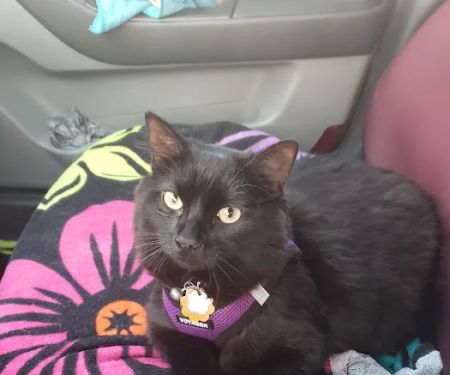 Animal Care Center of Pasco County