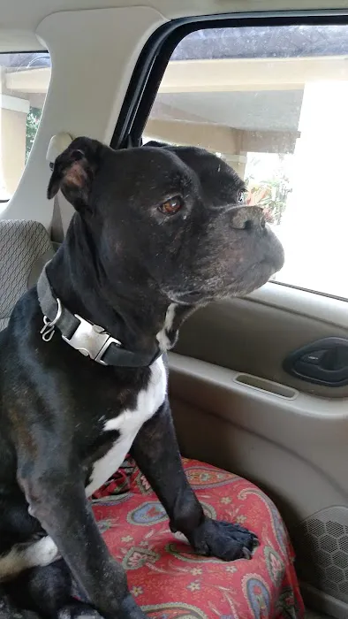 Animal Care Center-Pasco County: Reeves Kenneth DVM Picture 7