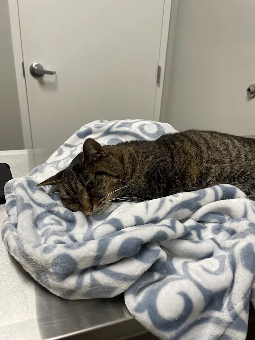 Trinity Pet Hospital Picture 7