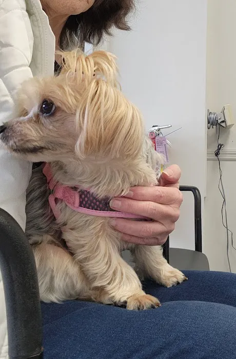 Trinity Pet Hospital Picture 4