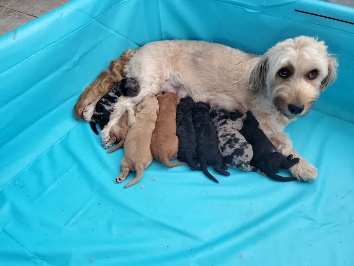 Trinity Pet Hospital Picture 6