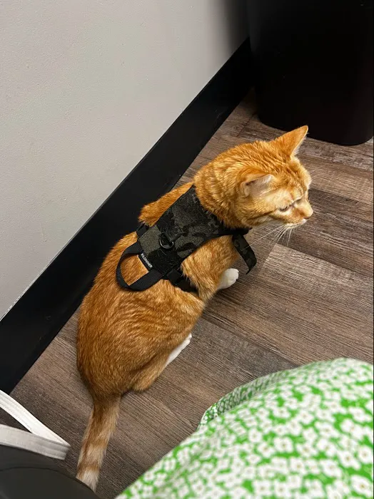 Trinity Pet Hospital Picture 1