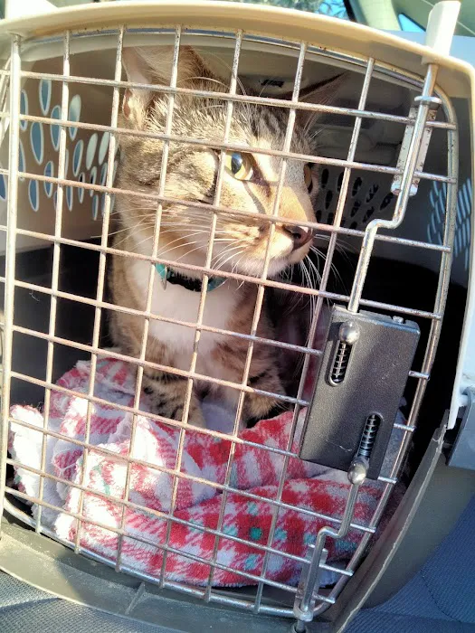 Hays Towne Veterinary Hospital Picture 6
