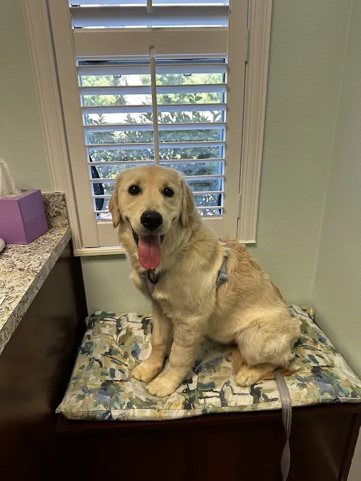 San Antonio Animal Hospital Picture 8