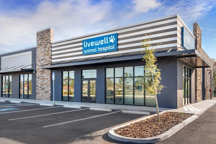 Livewell Animal Hospital of Riverview Picture 6