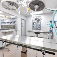Livewell Animal Hospital of Riverview ico