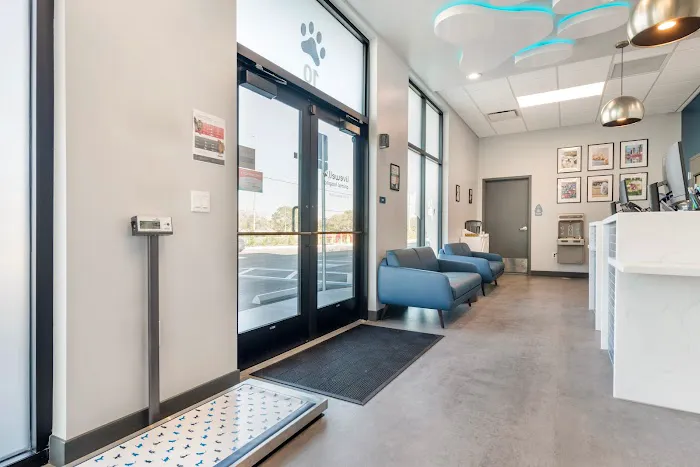 Livewell Animal Hospital of Riverview Picture 3