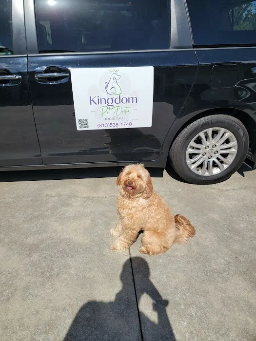 Kingdom Pet Hospital Picture 5