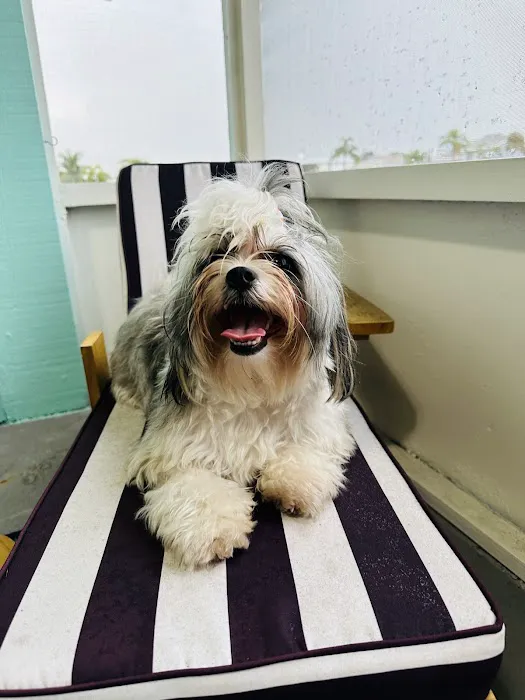Kingdom Pet Hospital Picture 6