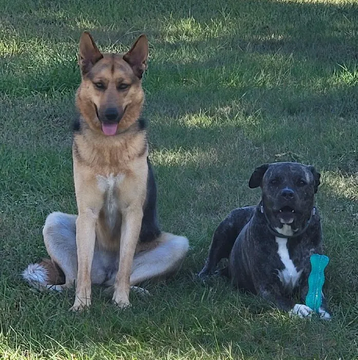 Crystal Springs Veterinary Clinic, PA Picture 3