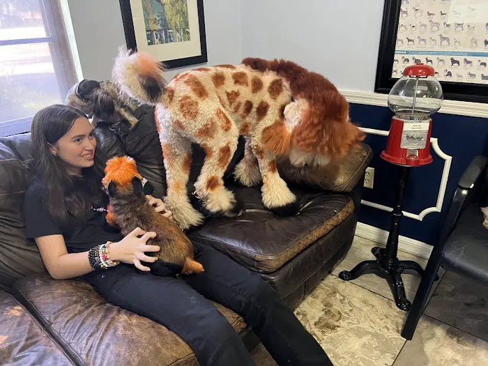 Blake Veterinary Hospital Picture 1