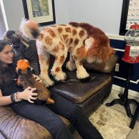 Blake Veterinary Hospital ico