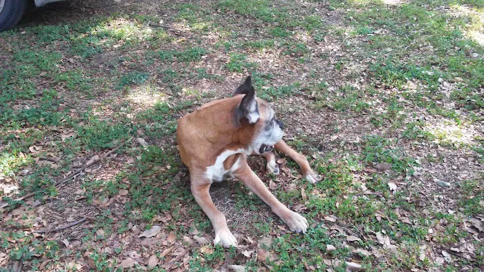 Blake Veterinary Hospital Picture 6