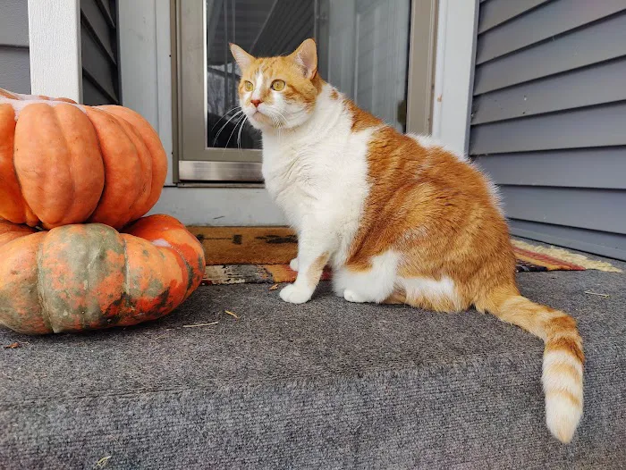 Total Pet Wellness Picture 1