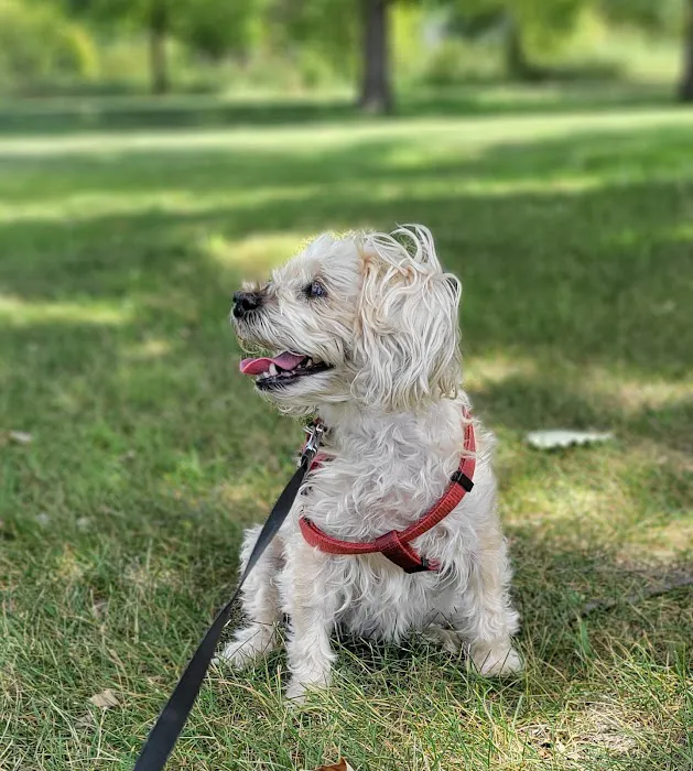 Total Pet Wellness Picture 6