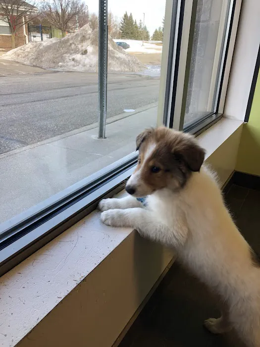 Banfield Pet Hospital Picture 9