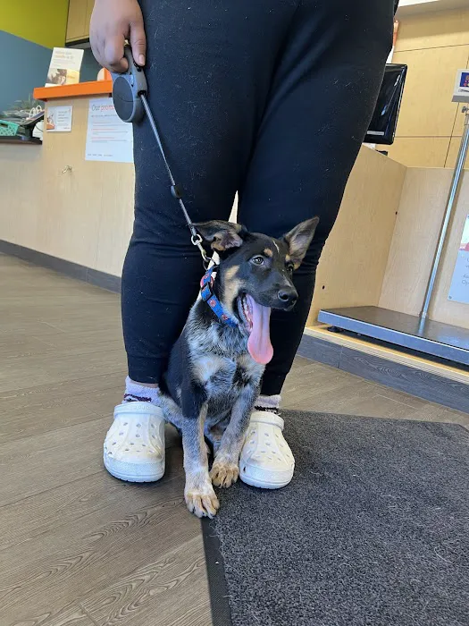 Banfield Pet Hospital Picture 8
