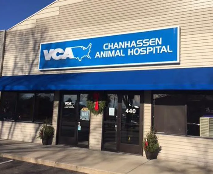 VCA Chanhassen Animal Hospital Picture 7