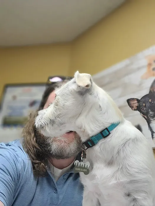 VCA Chanhassen Animal Hospital Picture 9