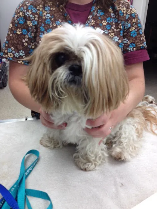 VCA Chanhassen Animal Hospital Picture 10