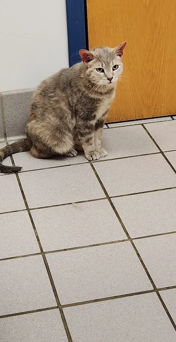 Burnsville Pet Hospital Picture 4