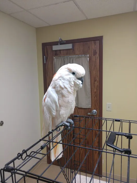 Valley View Pet Hospital Picture 6