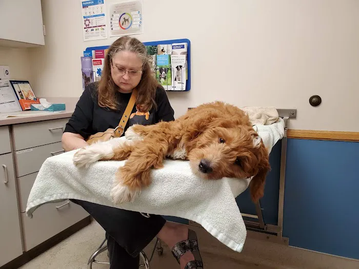 Palomino Pet Hospital & Clinic Picture 6