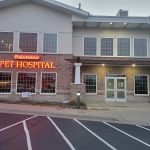 Palomino Pet Hospital & Clinic
