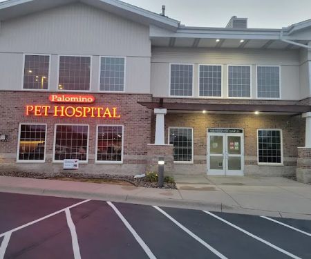 Palomino Pet Hospital & Clinic