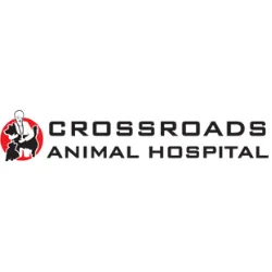 Crossroads Animal Hospital Picture 5