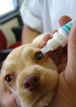 Crossroads Animal Hospital Picture 3