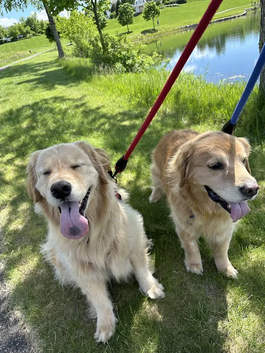 Scott Lake Veterinary Center Picture 9