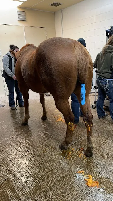 Stillwater Equine Veterinary Clinic Picture 2