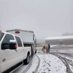 Stillwater Equine Veterinary Clinic