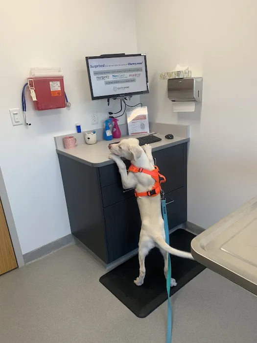 South Shore Veterinary Hospital Picture 1