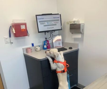 South Shore Veterinary Hospital