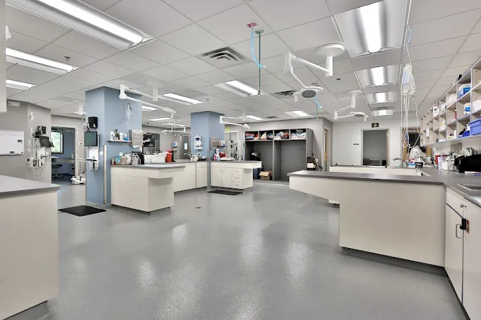South Shore Veterinary Hospital Picture 6