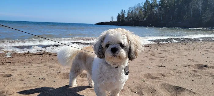 Blue Sky Animal Hospital Picture 3