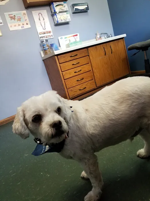 Ham Lake Vet Hospital PLLC Picture 8