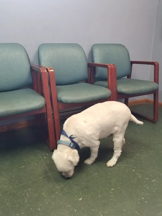 Ham Lake Vet Hospital PLLC Picture 4