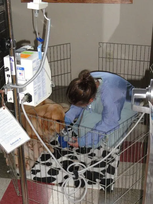 Park Grove Pet Hospital Picture 5
