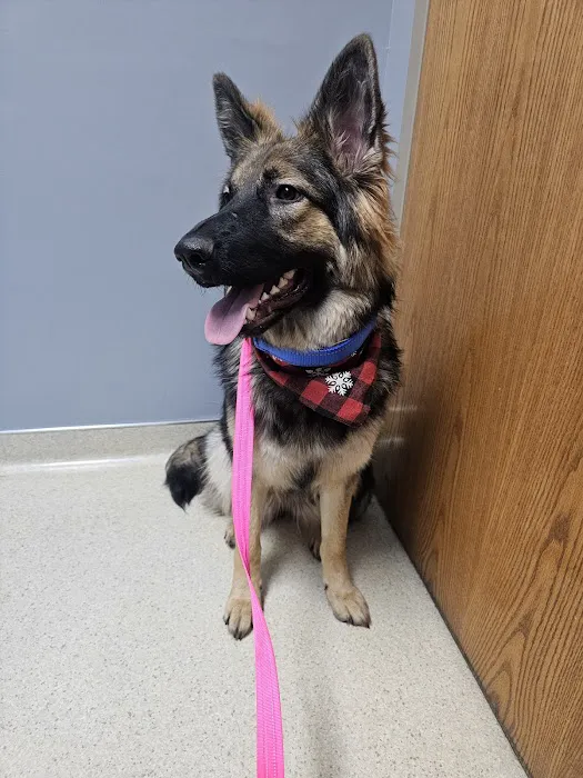 Park Grove Pet Hospital Picture 4