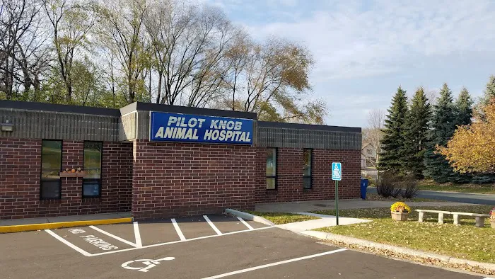 Pilot Knob Animal Hospital Picture 2