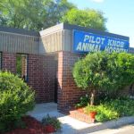 Pilot Knob Animal Hospital