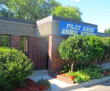 Pilot Knob Animal Hospital