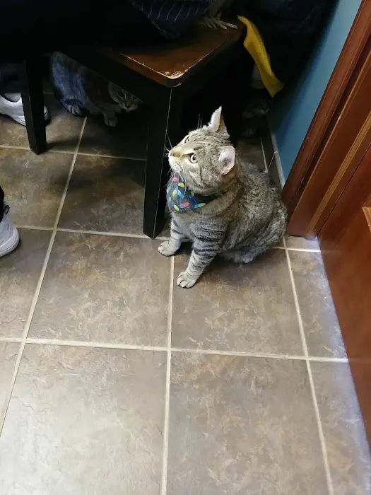 Cliff Lake Veterinary Clinic Picture 10