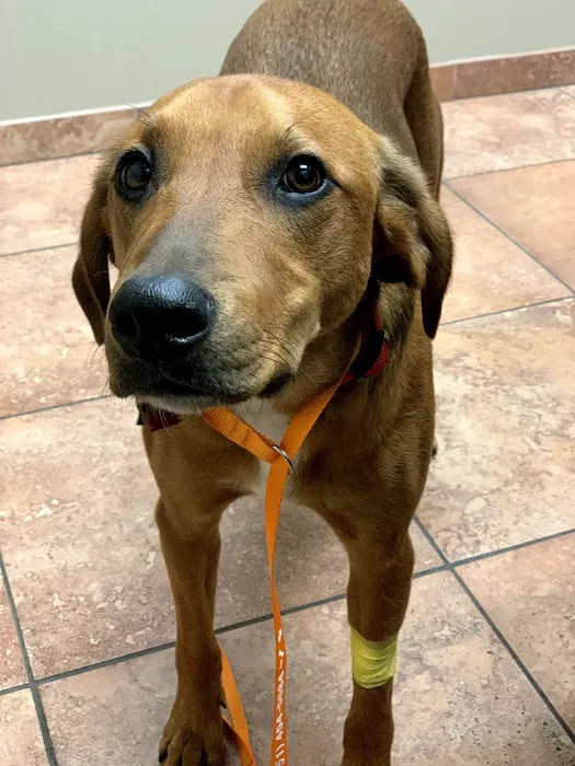 Eagan Pet Clinic Picture 9