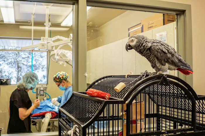 East Valley Animal Clinic Picture 1