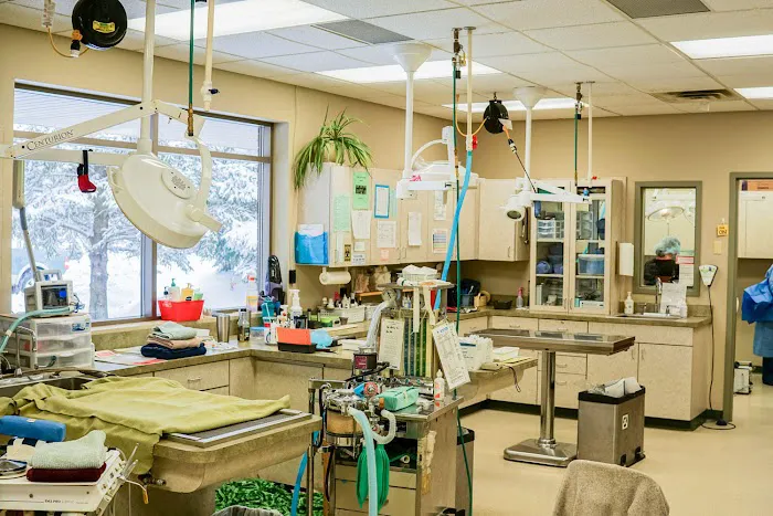 East Valley Animal Clinic Picture 6