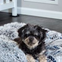 East Valley Animal Clinic: Ranzinger Kathy, DVM ico